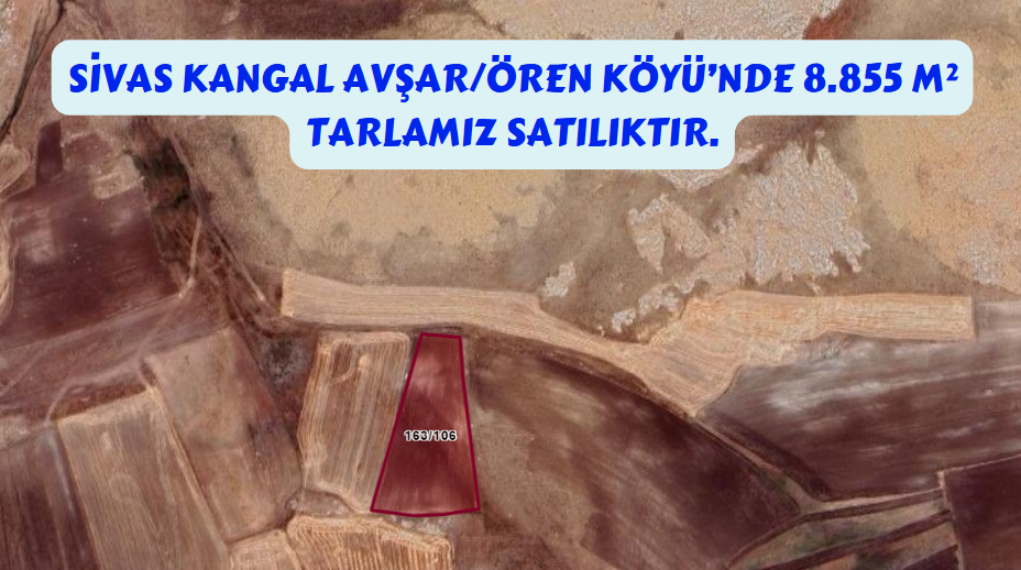 SİVAS KANGAL AVŞAR ÖREN KÖYÜNDE 8.855 M² TARLAMIZ SATILIKTIR. - SİVAS KANGAL fotoğraf 7